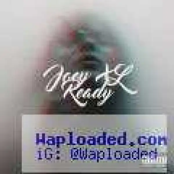 Joey XL - Ready